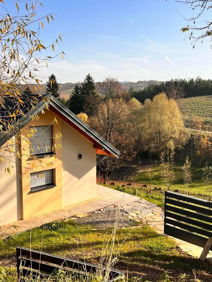 Holiday home Jednorodzinny Caloroczny Bobowa